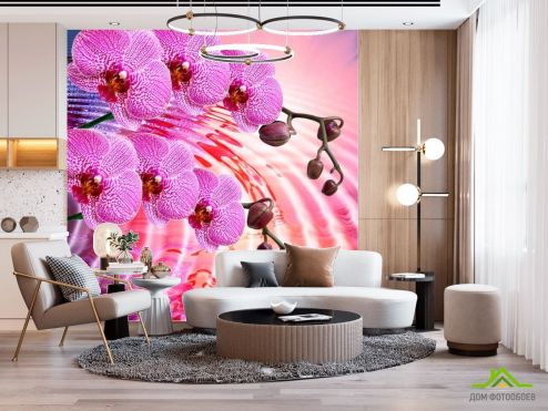 выбрать Фотошпалери Бузкові квітучі орхідеї Фотошпалери Фотошпалери Квіти: квадратна орієнтація на стіну