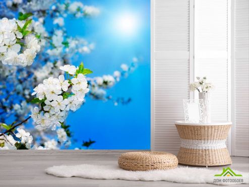 выбрать Фотообои Цветущие весной персики Голубые фотообои на стену