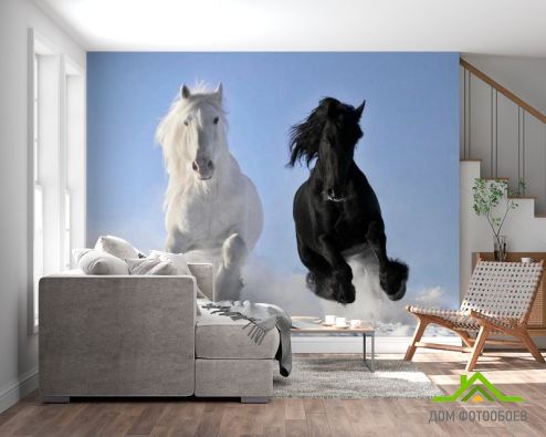 выбрать Фотообои Инь и Янь Фотообои, цвет: «Лошади» на стену