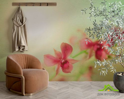 выбрать Фотообои Орхидеи бардовые Фотообои Цветы на стену