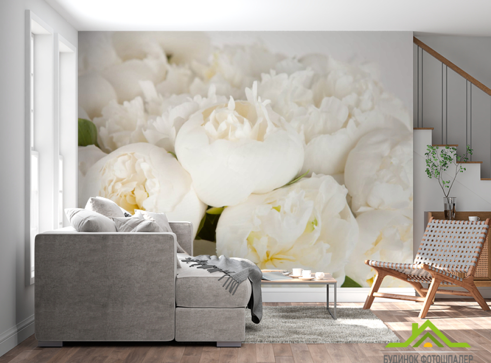 выбрать Фотошпалери білі півонії Каталог фотошпалер на стіну