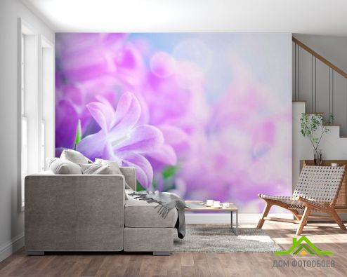выбрать Фотообои Цветочки сирени Фиолетовые фотообои на стену