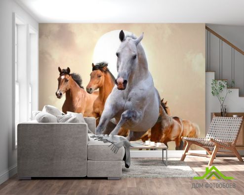 выбрать Фотообои Скачки лошадей Фотообои Фотообои Животные: горизонталная, горизонтальная ориентация на стену