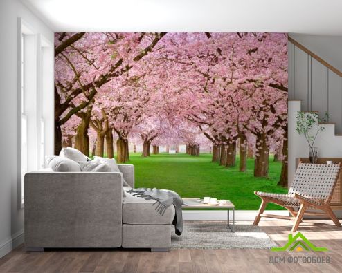 выбрать Фотообои Цветущие вишни Фотообои Фотообои Природа: фото  на стену