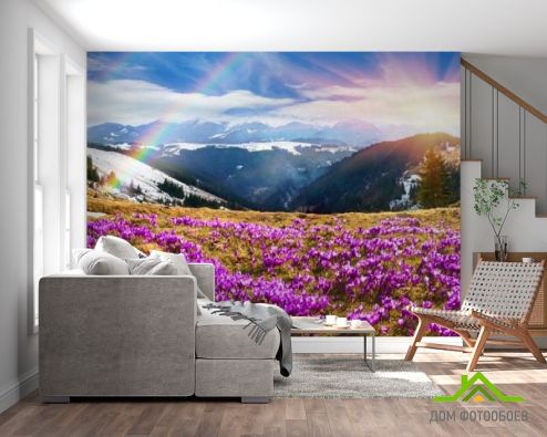 выбрать Фотообои поляна с сиреневыми цветами в горах Фотообои Фотообои Природа: горизонталная, горизонтальная ориентация на стену