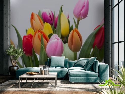 выбрать Фотошпалери тюльпани різних кольорів Фотошпалери Квіти на стіну