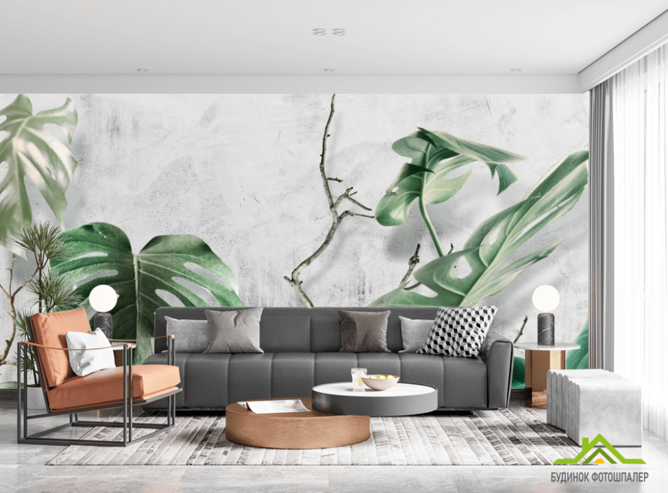 выбрать Фотошпалери Монстера і бетон Каталог фотошпалер на стіну