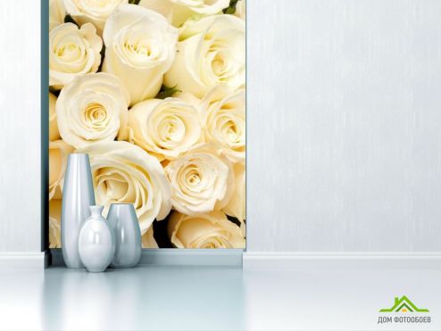 выбрать Фотообои Розы белоснежные, букет Фотообои Фотообои Цветы: фото  на стену