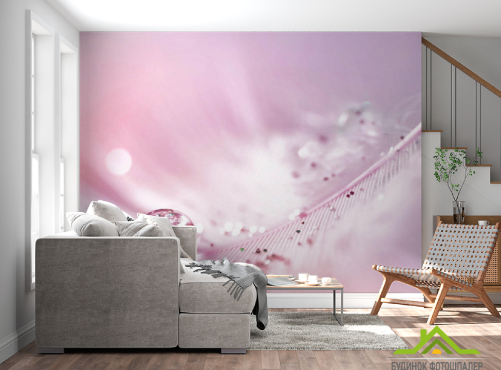 выбрать Фотошпалери Перо з росою на рожевому тлі Каталог фотошпалер на стіну