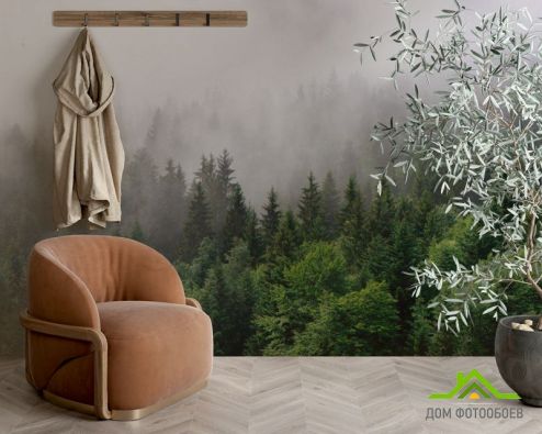 выбрать Фотообои Лес в тумане Фотообои Фотообои Природа: картинка, горизонталная, горизонтальная  на стену