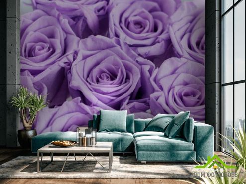 выбрать Фотообои фиолетовые розы  на стену