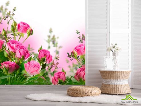 выбрать Фотошпалери Чайна троянда Фотошпалери Фотошпалери Квіти: квадратна, рожевий орієнтація на стіну