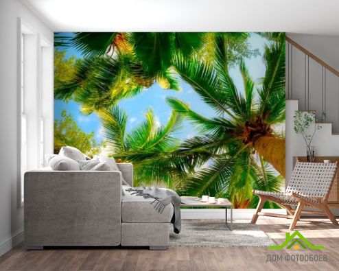 выбрать Фотообои Высокие пальмы Фотообои Фотообои Море: фото  на стену