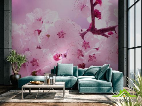 выбрать Фотошпалери Цвітіння персика навесні  на стіну