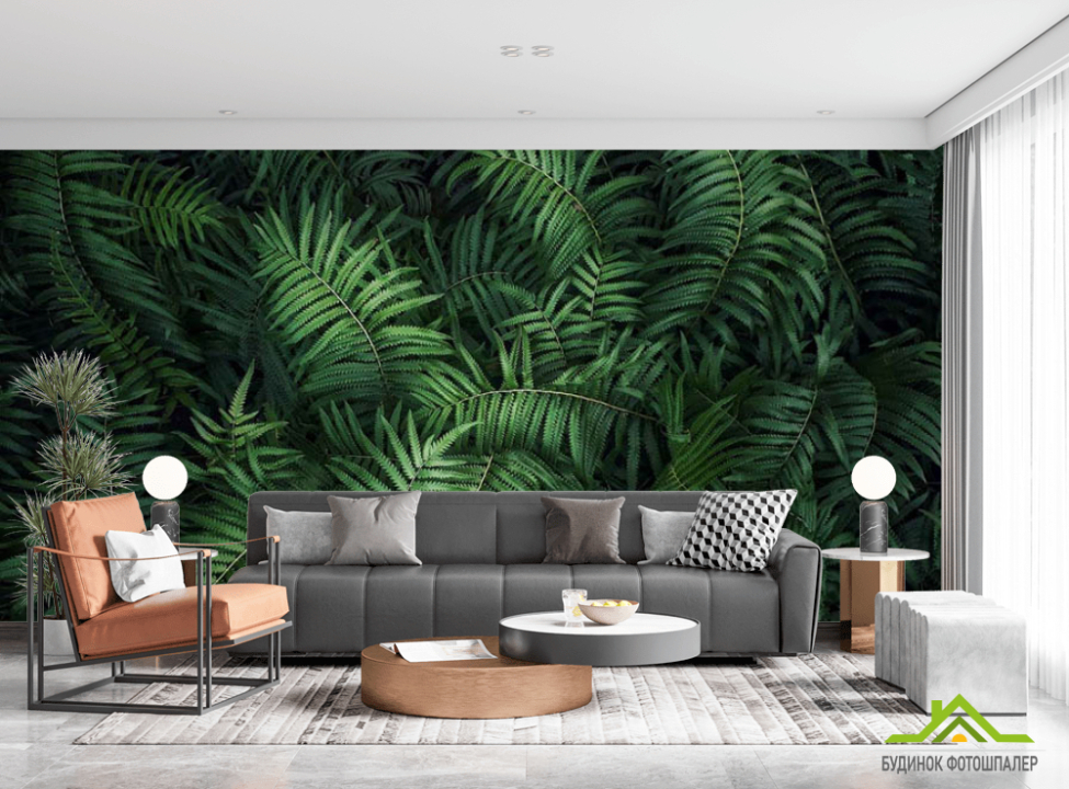 выбрать Фотообои Листья папоротника Каталог фотообоев на стену