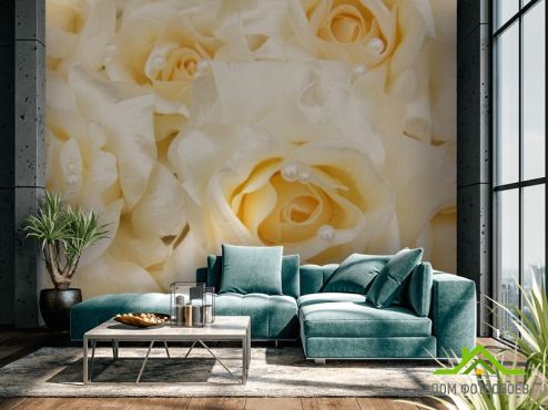 выбрать Фотообои Розы оттенка кремового Фотообои Цветы на стену