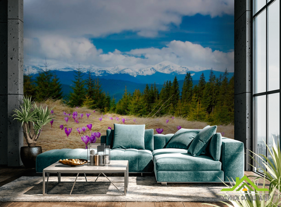 выбрать Фотошпалери Первоцвіт весняний, ялинки Каталог фотошпалер на стіну