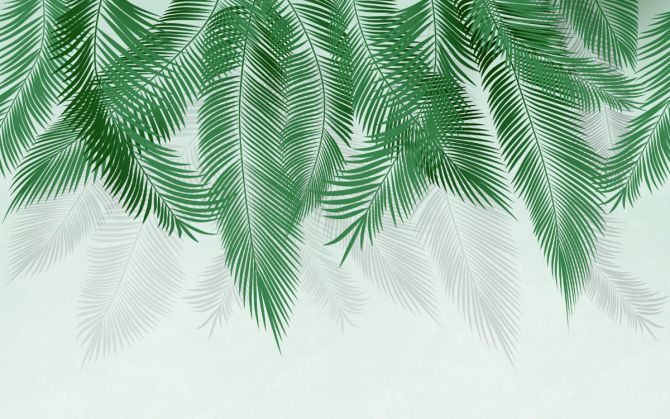 Фотообои Пушистые пальмовые листья на стену