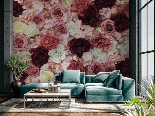 выбрать Фотообои розы разных оттенков Фотообои Цветы на стену