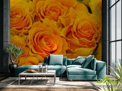 выбрать Фотообои Розы желтого оттенка Фотообои Фотообои Цветы: желтый на стену