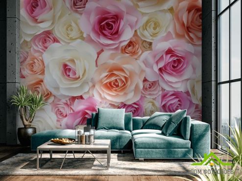 выбрать Фотообои розы нежных цветов Фотообои Цветы на стену