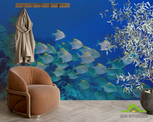 выбрать Фотообои Стая рыб Фотообои Фотообои Животные: горизонталная, горизонтальная, голубой ориентация на стену