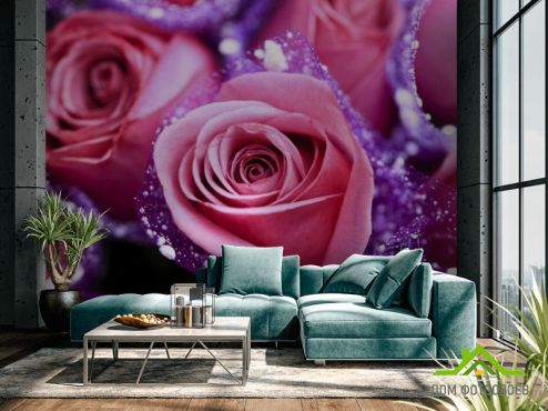 выбрать Фотообои розовые розы в сереневой сетке Фотообои Цветы на стену