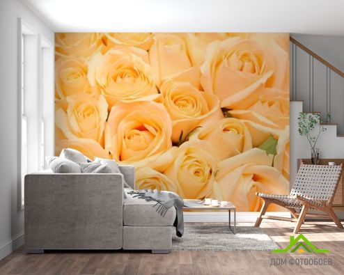 выбрать Фотообои Букет из кремовых роз Фотообои Фотообои Цветы: фото, бежевый  на стену