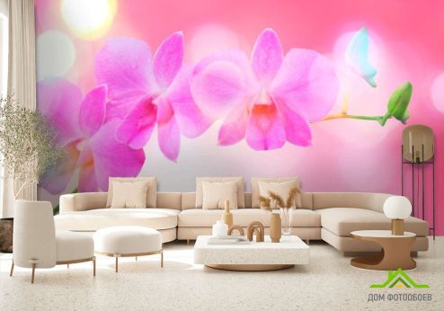 выбрать Фотошпалери Блідо-рожеві квіти Фотошпалери Фотошпалери Квіти: квадратна, горизонтальна орієнтація на стіну