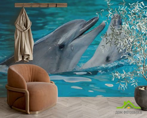 выбрать Фотошпалери Ніжність дельфінів Фотошпалери Фотошпалери Тварини: фото, блакитний  на стіну