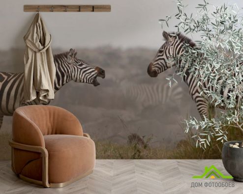 выбрать Фотообои Общение зебр Фотообои, цвет: «горизонталная, горизонтальная» на стену