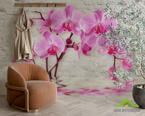 выбрать Фотообои 3д орхидея Фиолетовые фотообои на стену