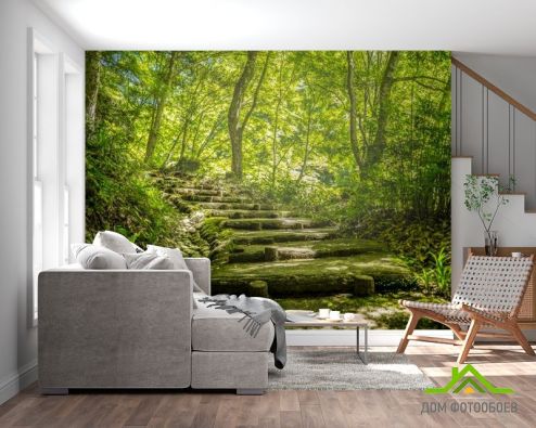 выбрать Фотошпалери дерев'яні сходи у лісі Фотошпалери Фотошпалери Природа -  на стіну