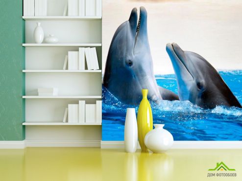 выбрать Фотошпалери Спілкування дельфінів Фотошпалери Фотошпалери Тварини: фото, блакитний  на стіну