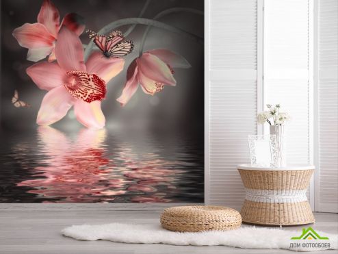 выбрать Фотообои Цветок с бабочкой  на стену