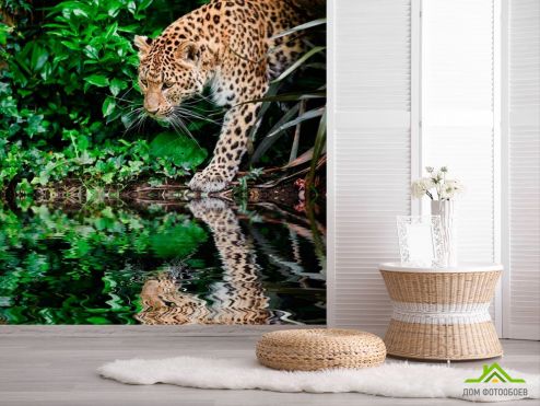 выбрать Фотообои Гепард у воды Фотообои Фотообои Животные: Гепарды, квадратная на стену