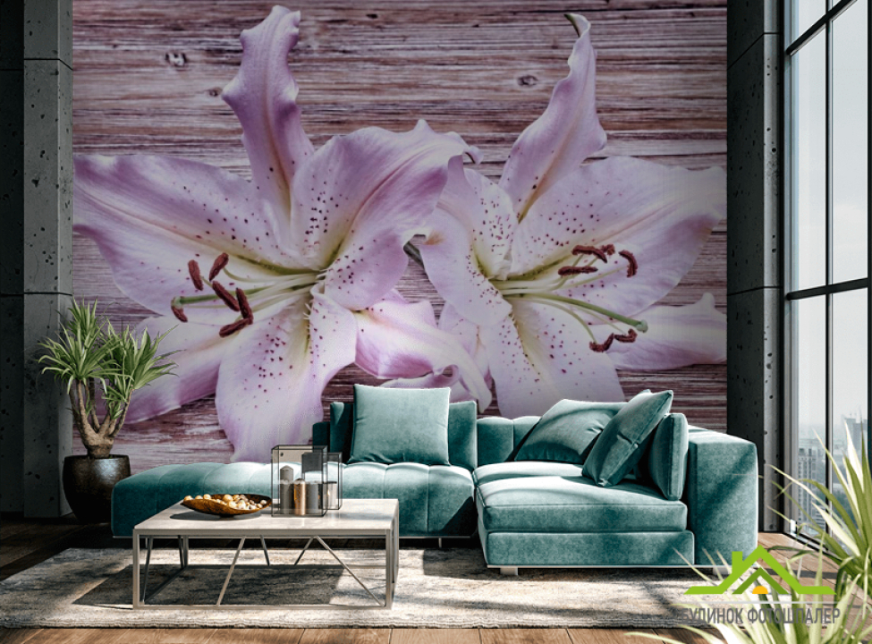 выбрать Фотошпалери Лілії бузкові Каталог фотошпалер на стіну