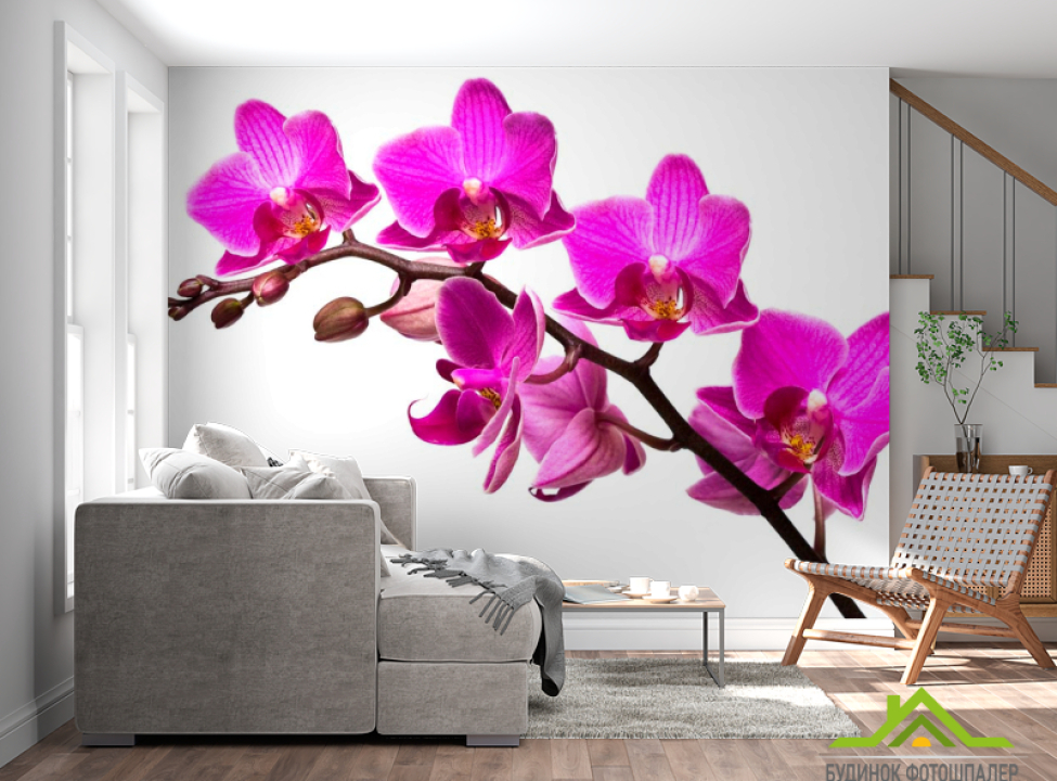 выбрать Фотообои Ветка малиновых орхидей Каталог фотообоев на стену