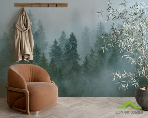 выбрать Фотообои Туман над лесом Фотообои Природа на стену
