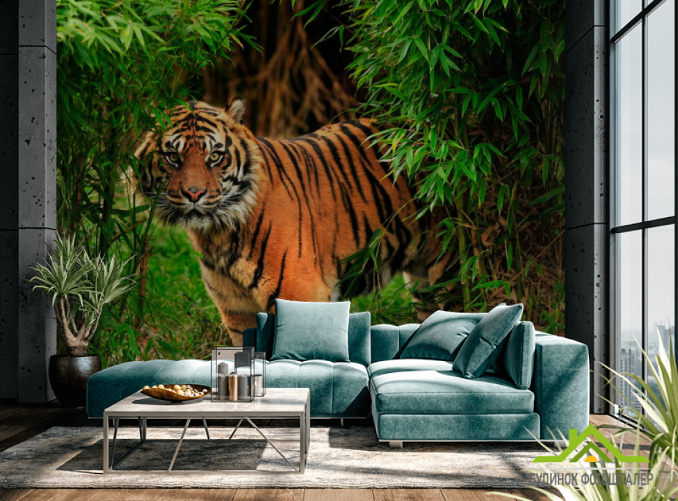 выбрать Фотошпалери Тигр в заростях Каталог фотошпалер на стіну