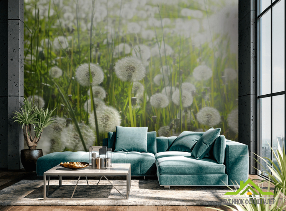 выбрать Фотошпалери поляна кульбаб Каталог фотошпалер на стіну