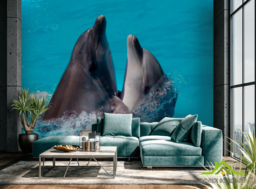 выбрать Фотошпалери Два дельфіна Каталог фотошпалер на стіну