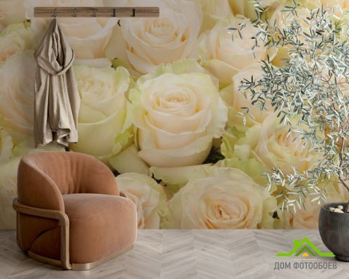 выбрать Фотообои Бежевые розы Фотообои Фотообои Цветы: горизонталная, горизонтальная ориентация на стену
