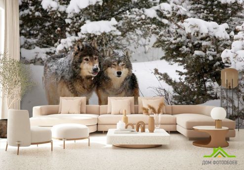 выбрать Фотообои Волки в снегу Фотообои Фотообои Животные: горизонталная, горизонтальная, фото ориентация на стену