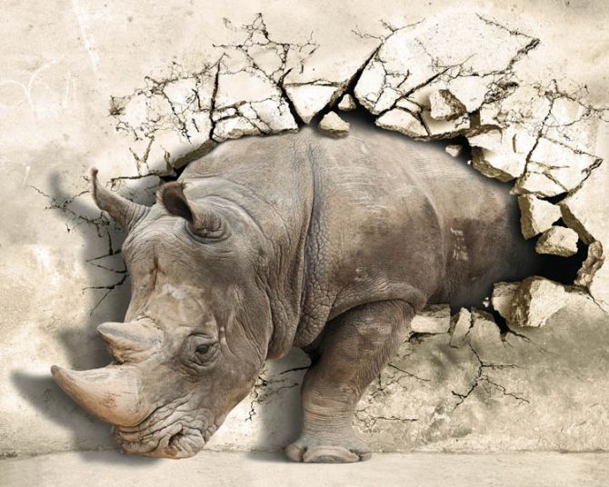 Фотообои носорог выходит со стены