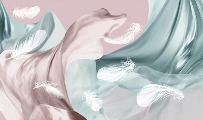 Фотошпалери Пір'я на тлі атласу