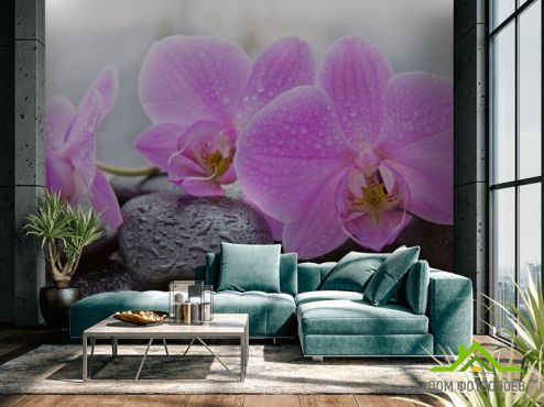 выбрать Фотообои камни и орхидеи  на стену
