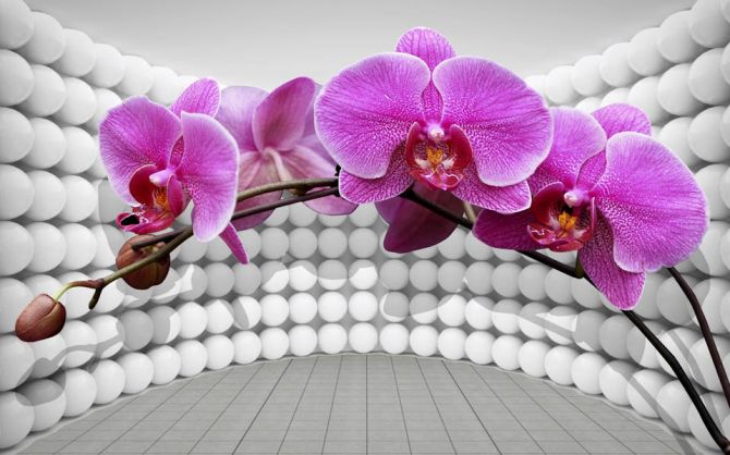 Фотошпалери 3Д орхідея