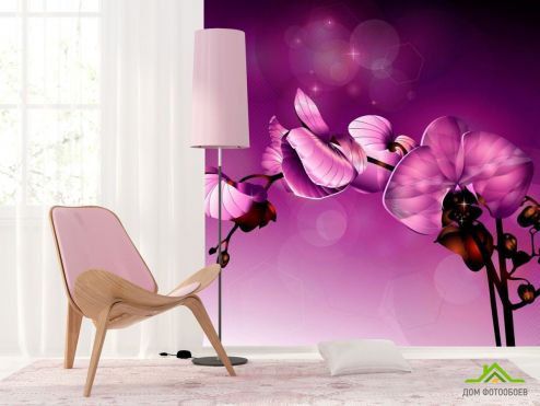 выбрать Фотошпалери Фіолетові орхідеї Фотошпалери Фотошпалери Орхідеї: фото, фіолетовий  на стіну
