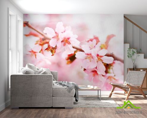 выбрать Фотообои Цветущая розовая вишня Фотообои Вишня на стену